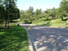 5k start